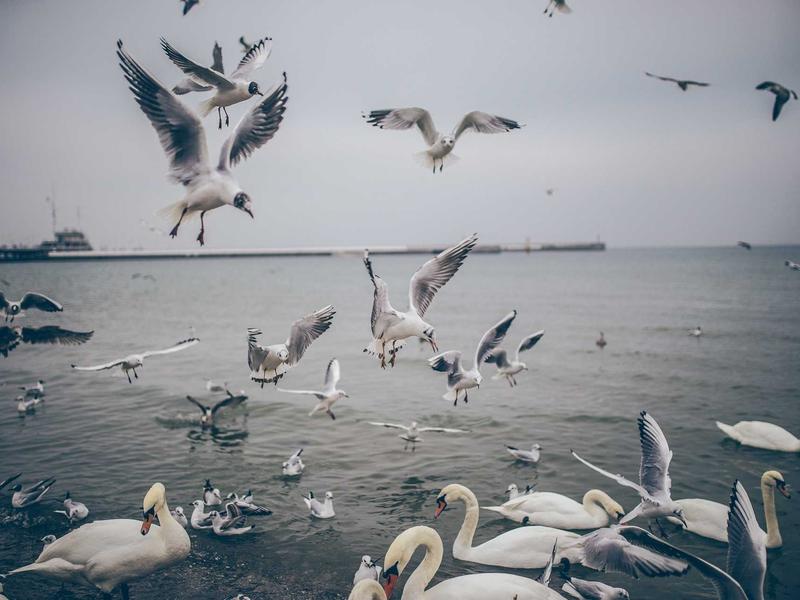 sudoku solving methods screenshot 2